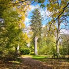 Schlosspark Kirchheimbolanden im Herbst