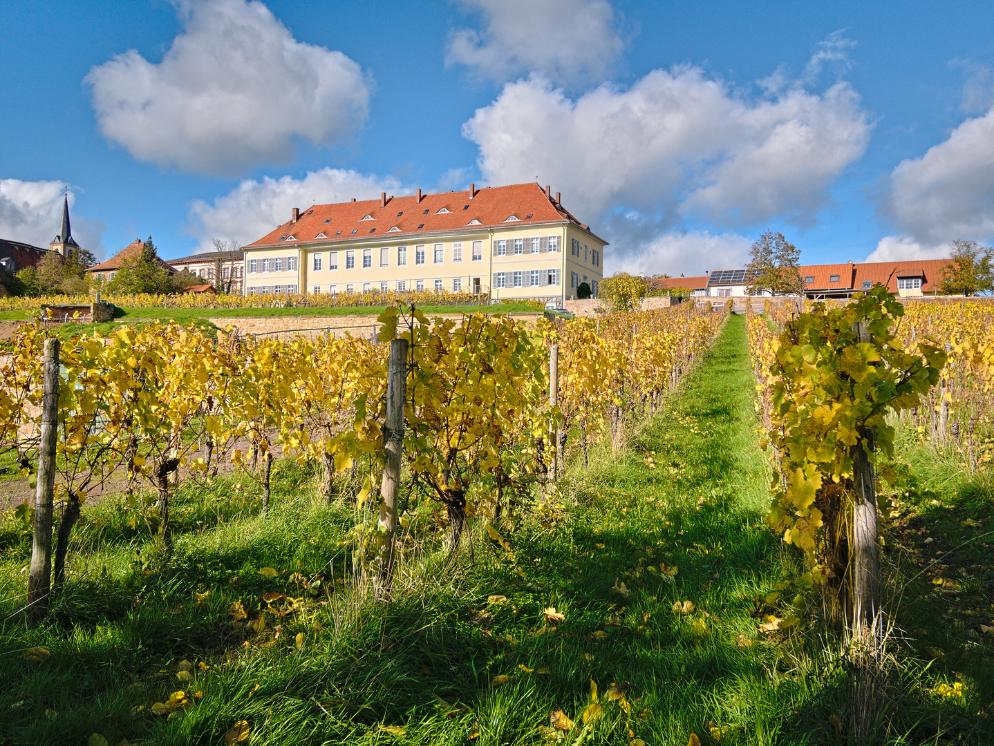 Schlosspark Kirchheimbolanden im Herbst