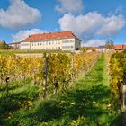 Schlosspark Kirchheimbolanden im Herbst