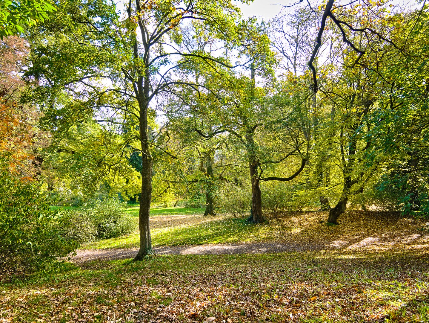 Schlosspark Kirchheimbolanden im Herbst