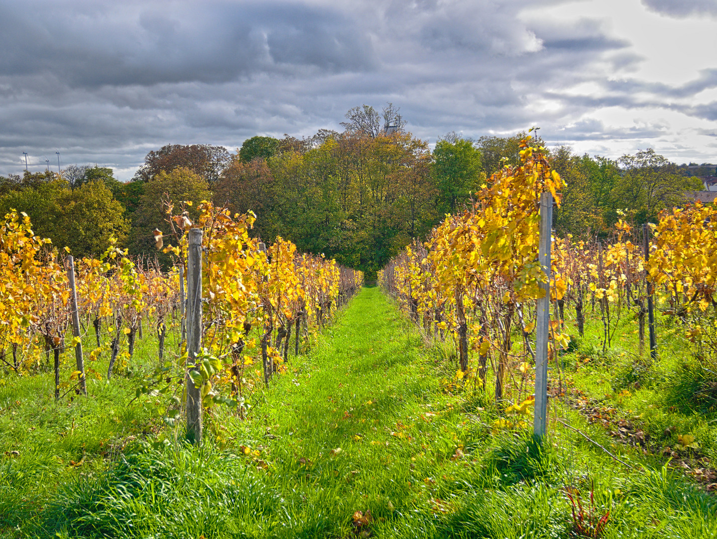 Schlosspark Kirchheimbolanden im Herbst