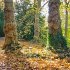 Schlosspark Kirchheimbolanden im Herbst