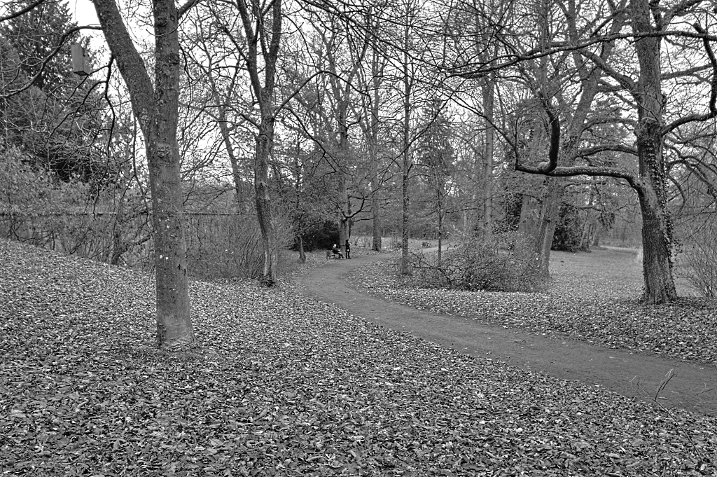 Schlosspark Kirchheimbolanden im Winter