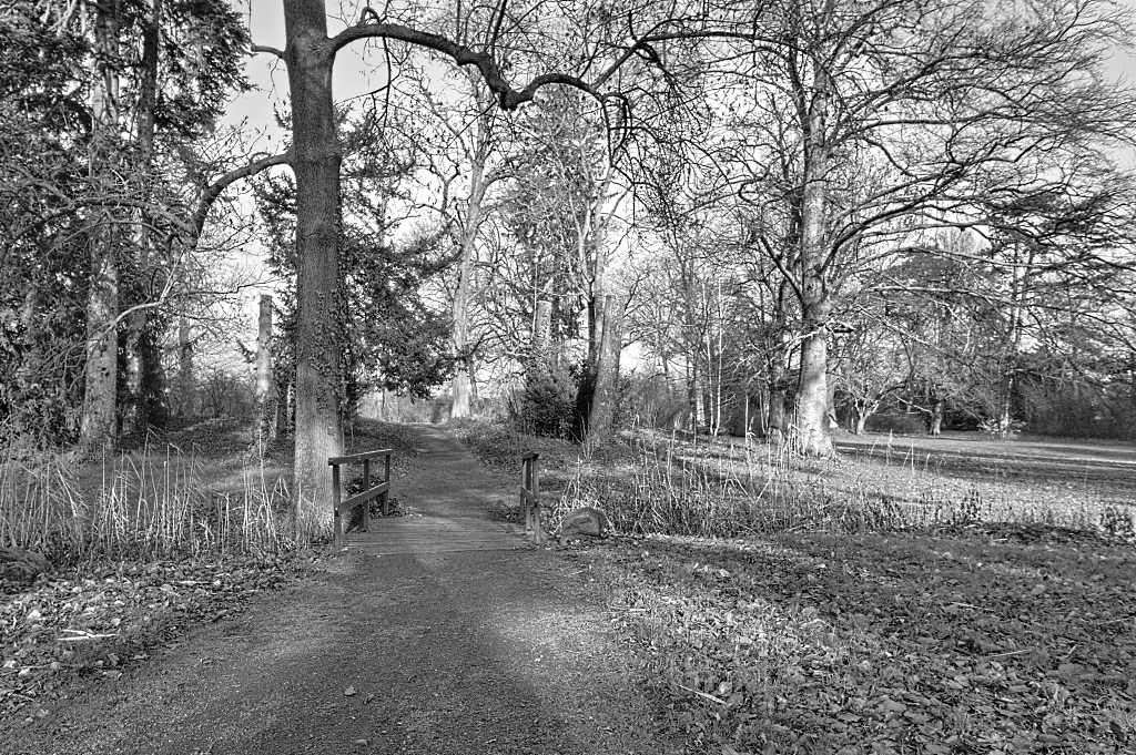 Schlosspark Kirchheimbolanden im Winter