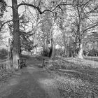 Schlosspark Kirchheimbolanden im Winter