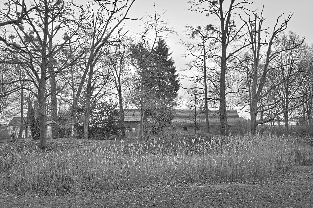 Schlosspark Kirchheimbolanden im Winter