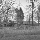 Schlosspark Kirchheimbolanden im Winter