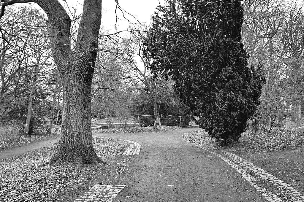 Schlosspark Kirchheimbolanden im Winter