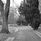 Schlosspark Kirchheimbolanden im Winter