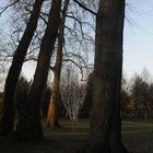 Schlosspark Köln-Stammheim / Skulpturen im Park