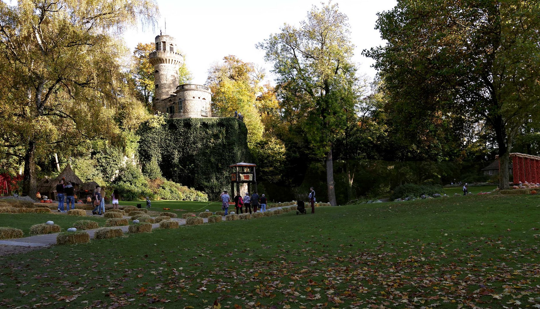 Schlosspark - Kürbisausstellung