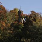 Schlosspark - Kürbisausstellung