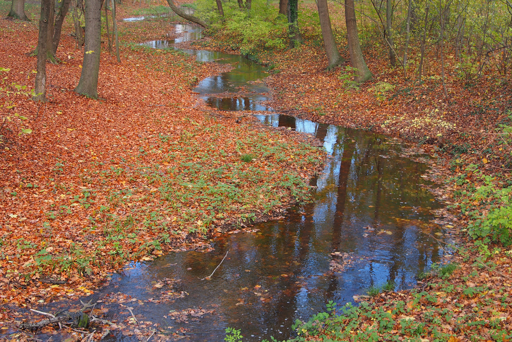 Schlosspark Laxenburg