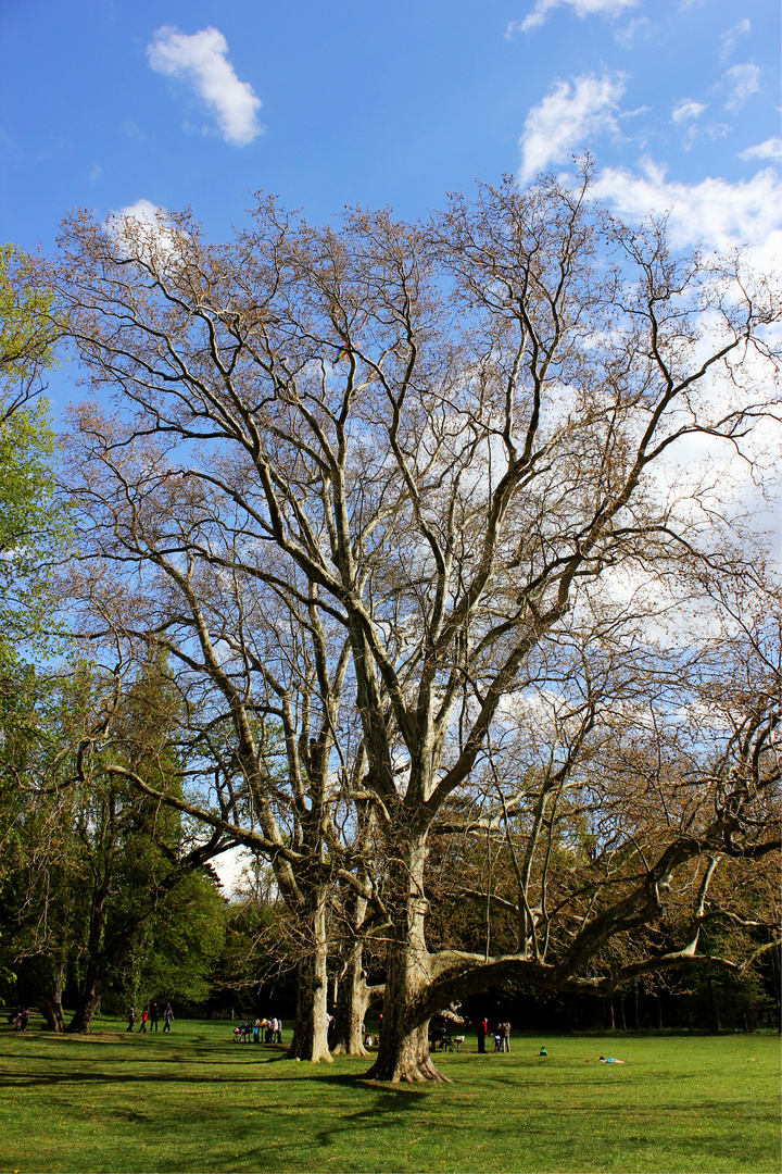 Schlosspark Laxenburg