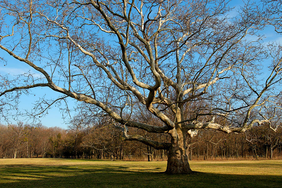 Schloßpark Laxenburg