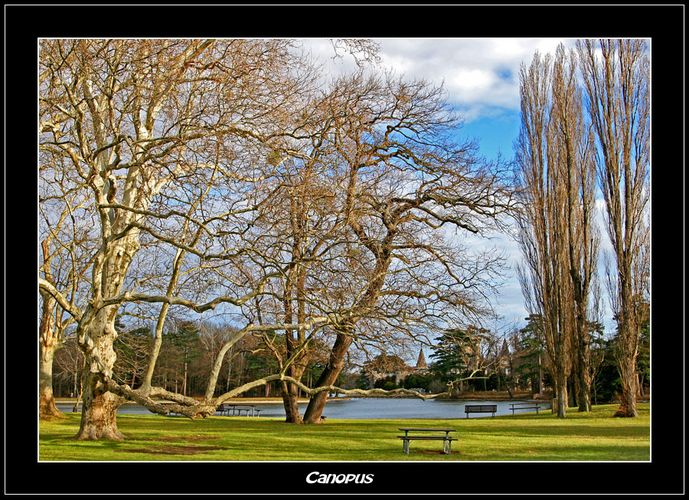 Schloßpark Laxenburg - Wien