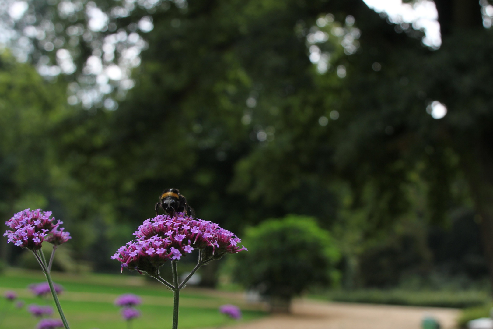 Schlosspark Lembeck 4