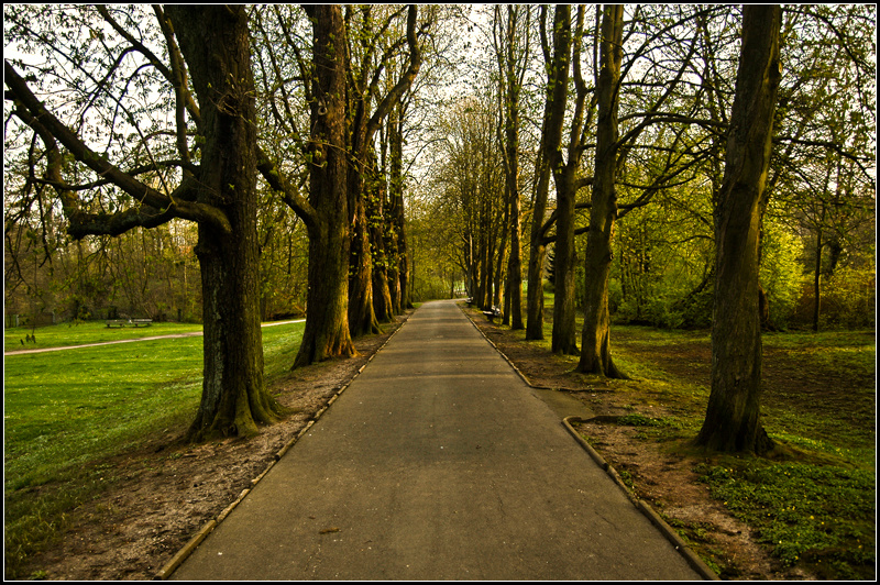 Schlosspark Lich