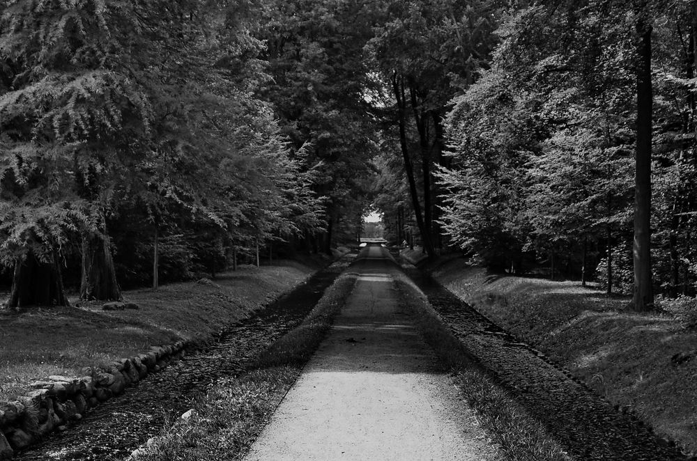 Schlosspark Ludwigslust MV