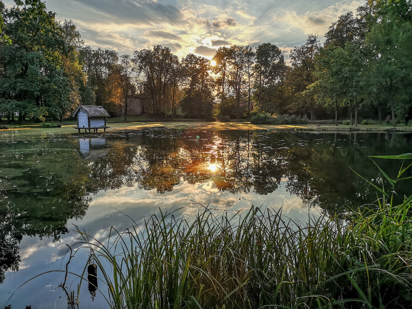 Schloßpark Lübbenau