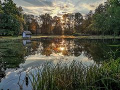 Water Reflection