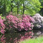 Schlosspark Lütetsburg 1