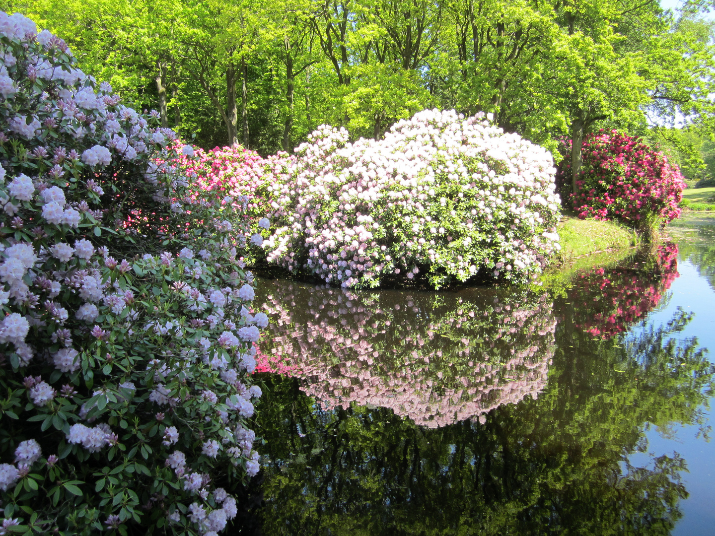 Schlosspark Lütetsburg 2