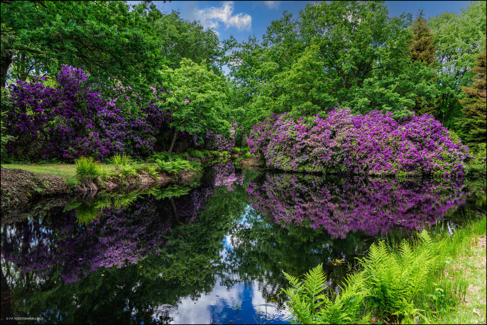 Schlosspark Lütetsburg 2