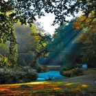 Schloßpark Lütetsburg