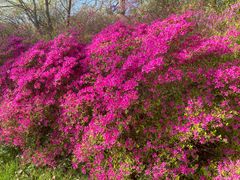 Schlosspark Lütetsburg