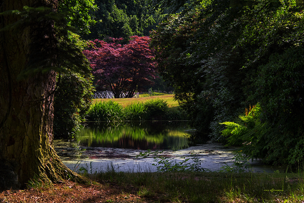 Schlosspark Lütetsburg