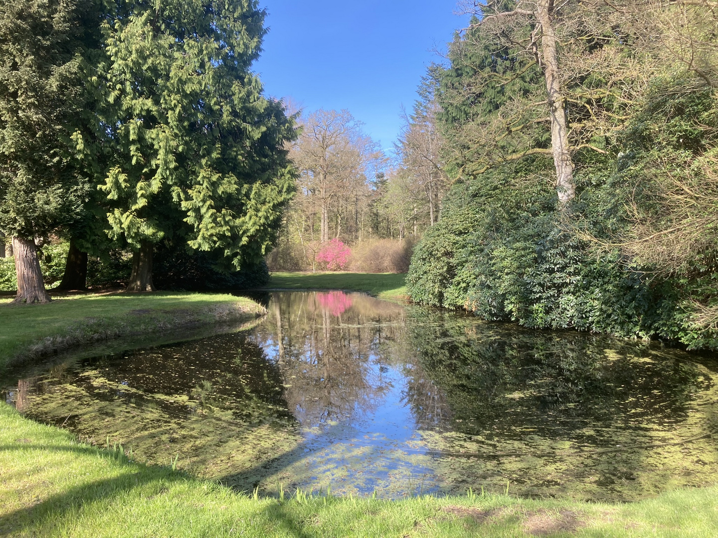 Schlosspark Lütetsburg