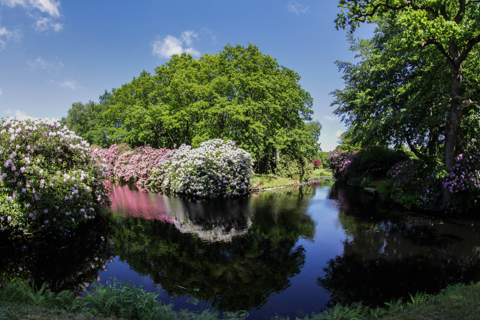 Schlosspark Lütetsburg