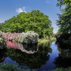 Schlosspark Lütetsburg