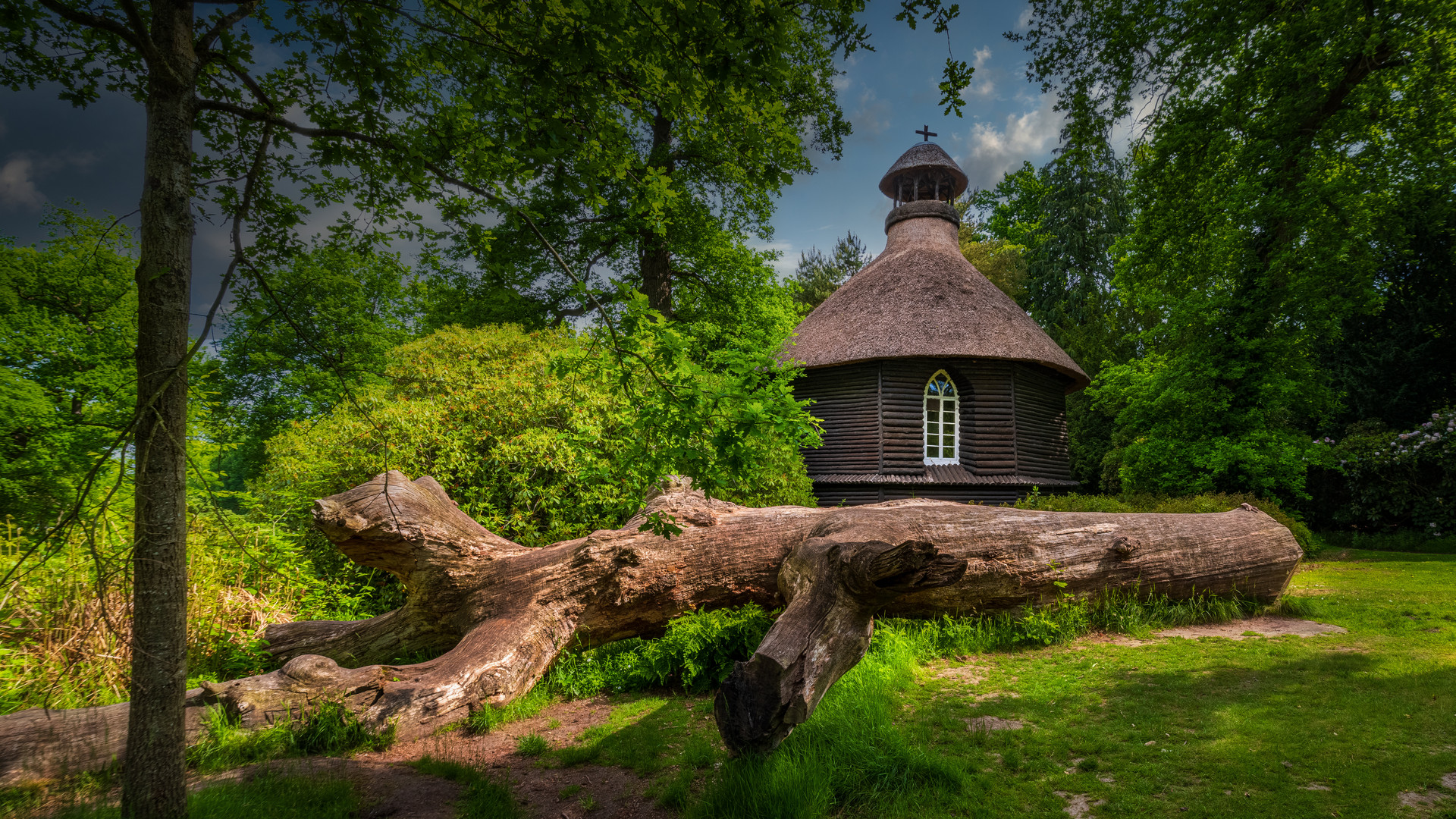 Schlosspark Lütetsburg 