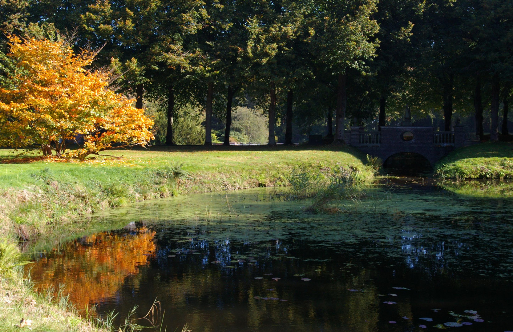 Schloßpark Lütetsburg bei Norden Ostfriesland.......