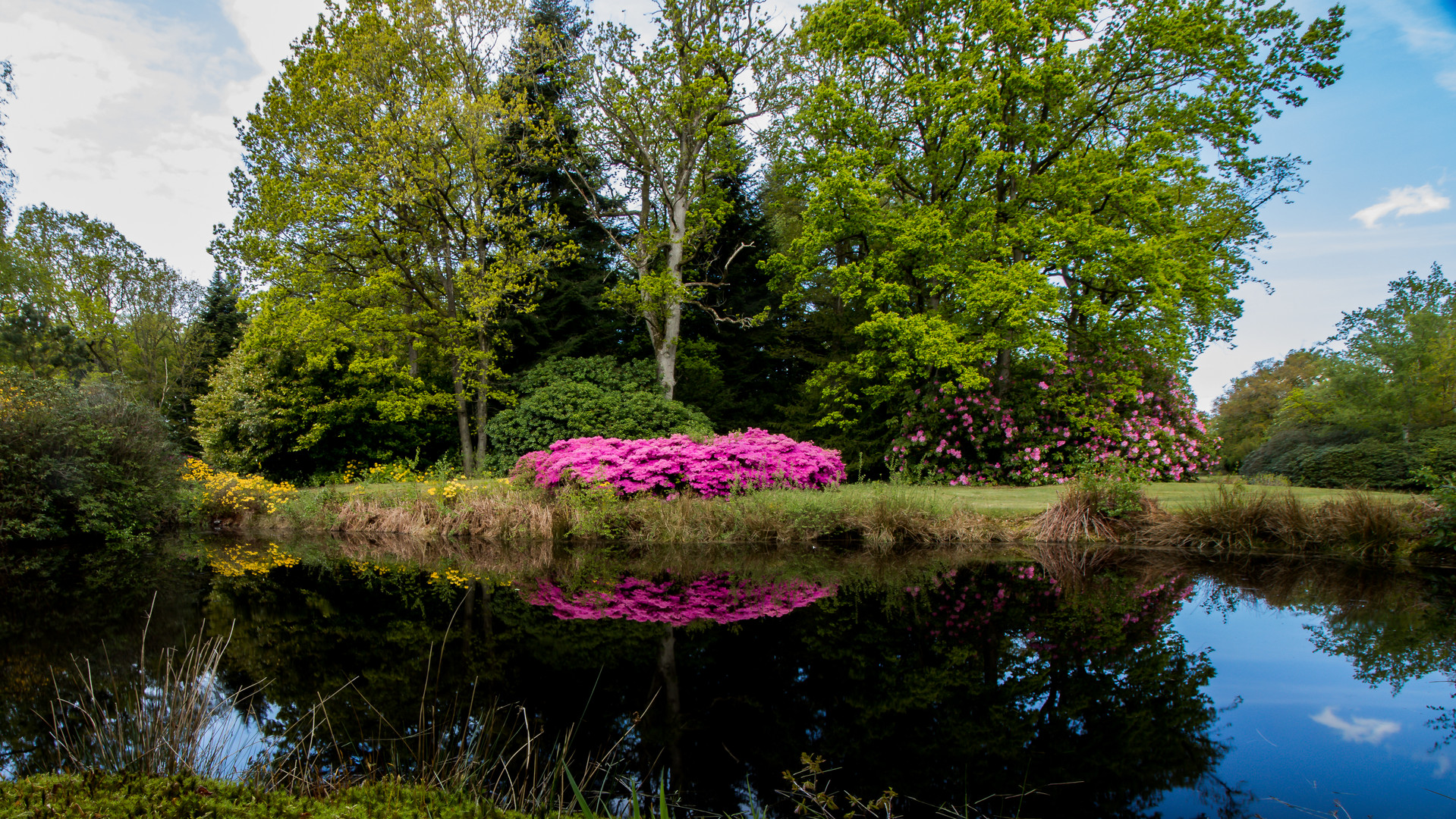 Schlosspark Lütetsburg