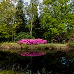 Schlosspark Lütetsburg