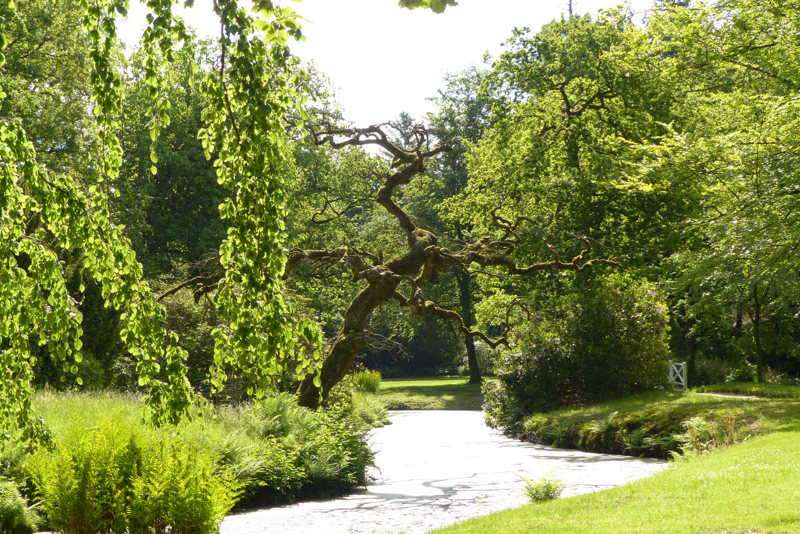 Schloßpark Lütetsburg