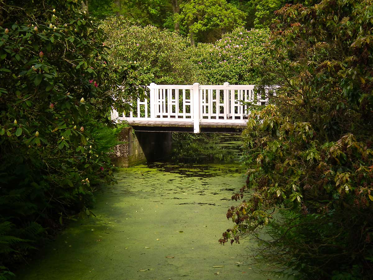 Schloßpark Lütetsburg in Ostfriesland