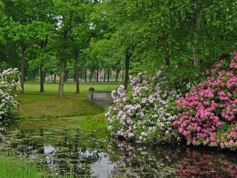 Schlosspark Lütetsburg Ostfriesland