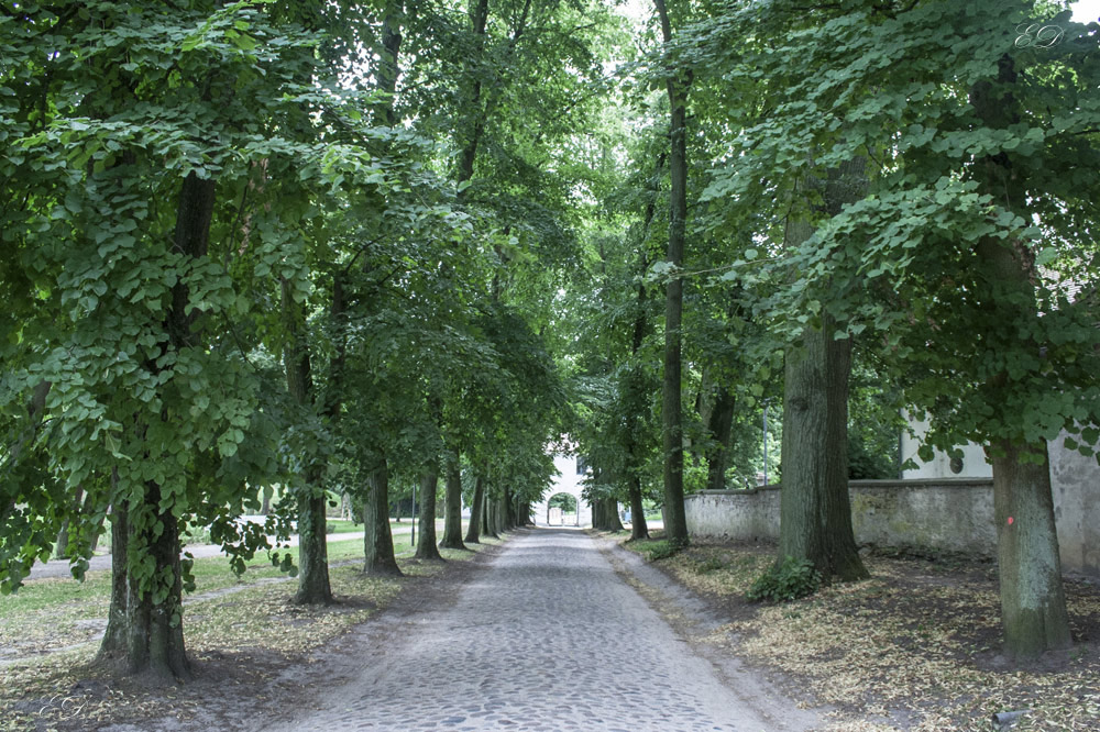 Schlosspark Mirow