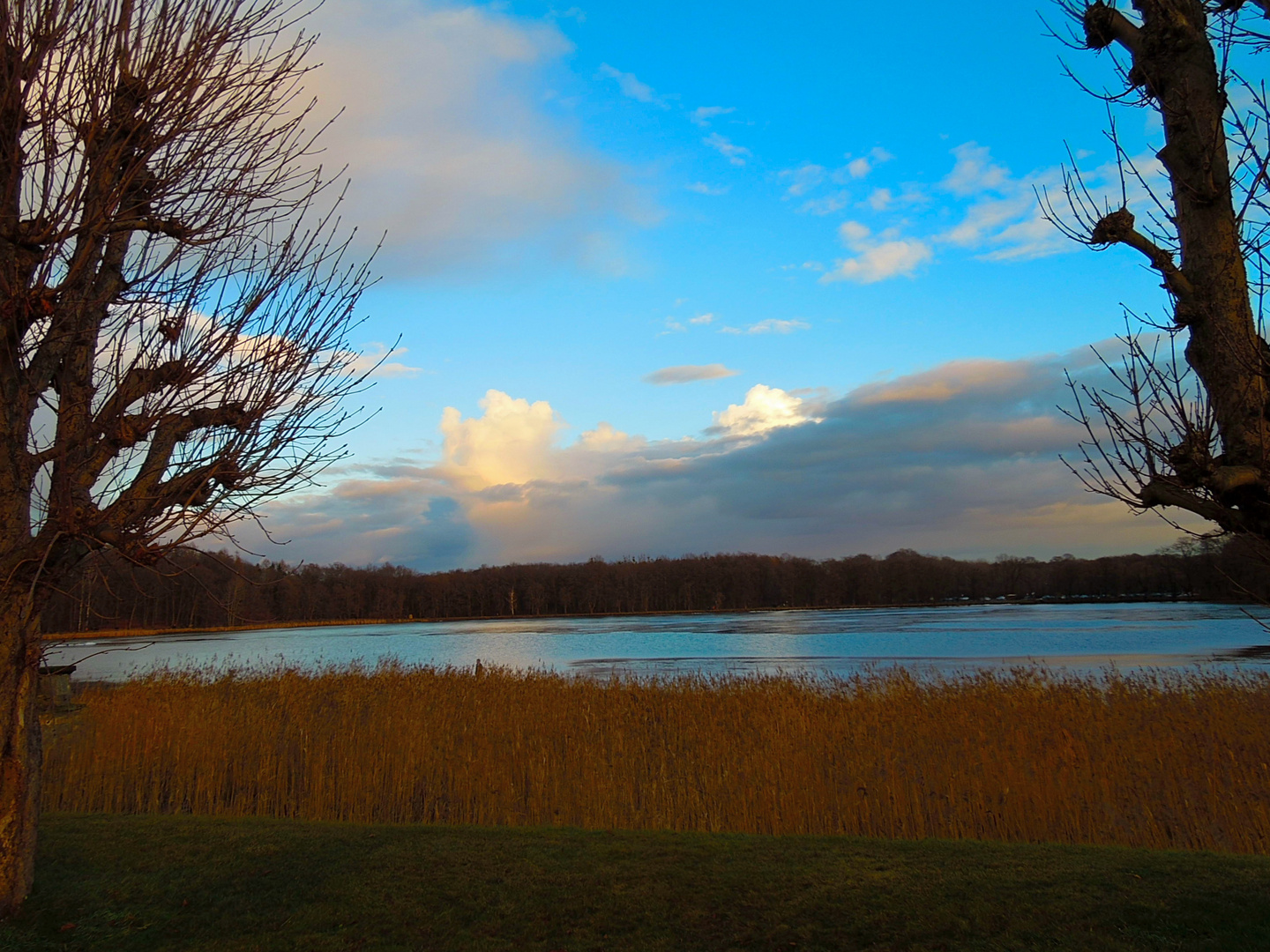 Schlosspark Moritzburg 2012