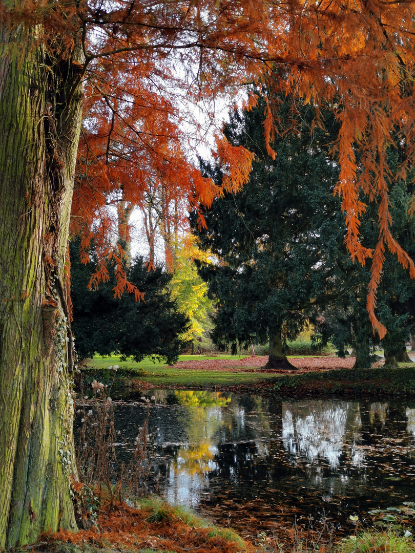 Schlosspark Neersen