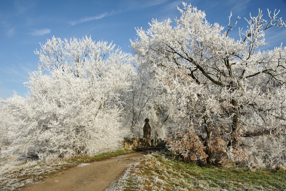 Schloßpark Neugattersleben