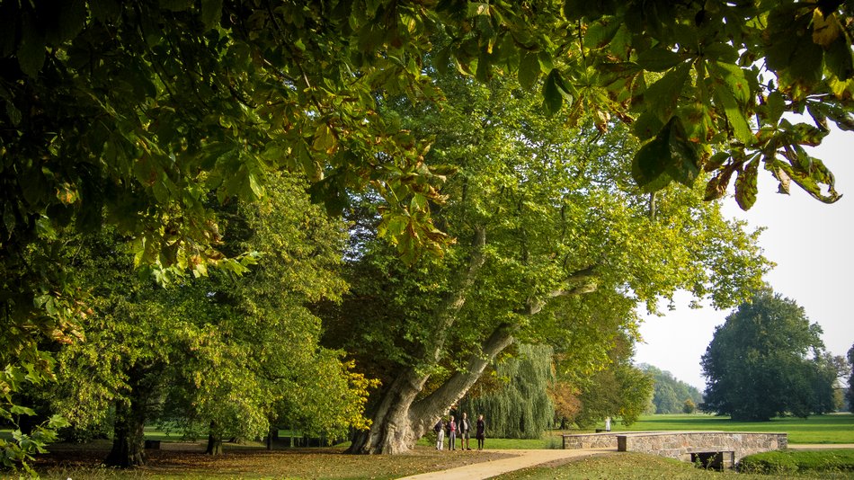 Schlosspark Neuhardenberg