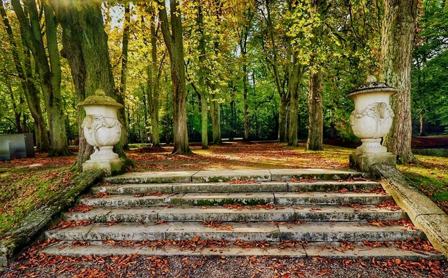 Schlosspark Nordkirchen II