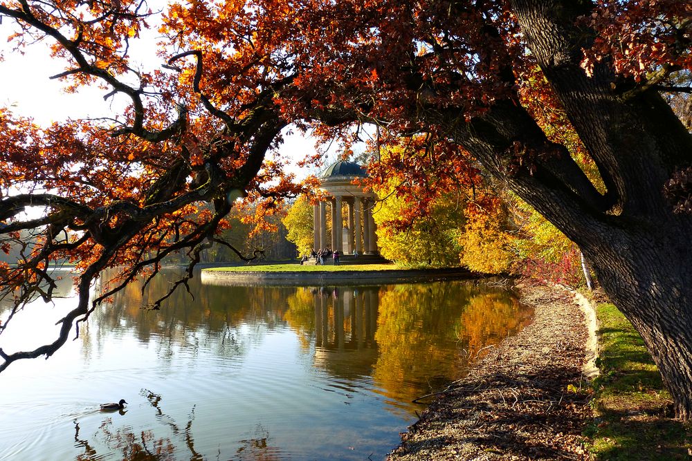 Schlosspark Nymphenburg (2) Foto & Bild deutschland, europe, bayern