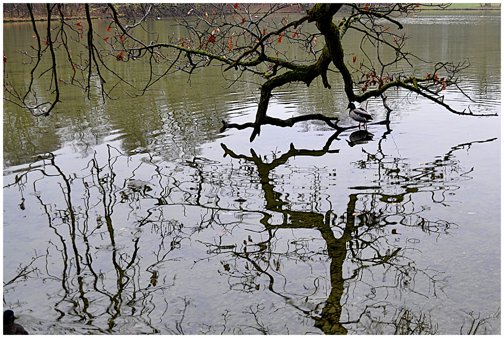 Schlosspark Nymphenburg