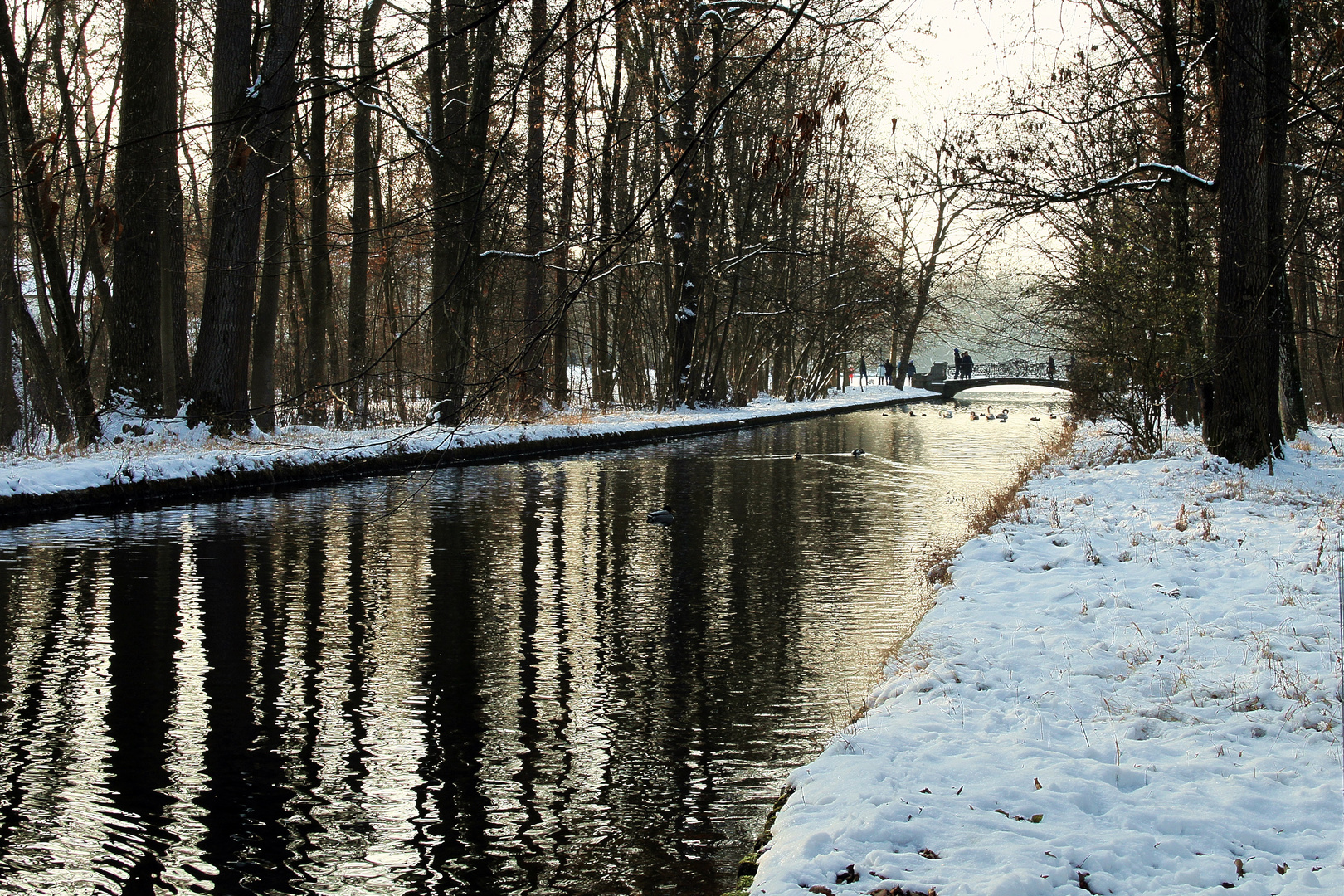 Schlosspark Nymphenburg